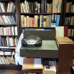scientific & technical library