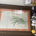Img 6876