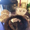 Christian Dior hat