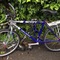 bikes