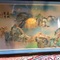 Chinese art