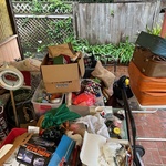 Img 6696