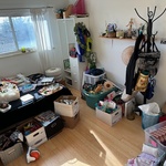 Img 7451