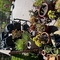 Img 7106