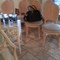 shell chairs