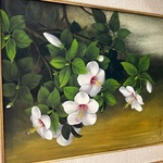 Img 7576