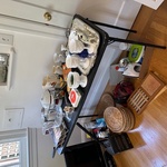 Img 7774