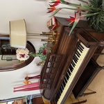 Img 0864