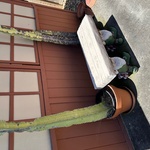Img 0868