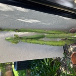 Img 0881