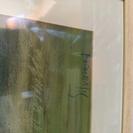 Img 0891