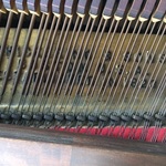 Chickering quarter grand piano