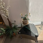 Img 0901