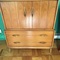 1970's mod cabinet