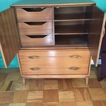 1970's mod cabinet