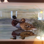 duck art