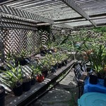 Img 4335