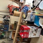 Img 4541