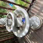 Img 4550