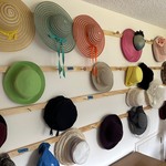 Img 4565