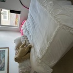 Img 5003