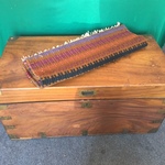 chest