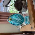 Img 6549