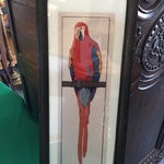 parrot art