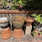 Img 7111
