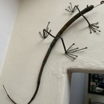 Img 7142