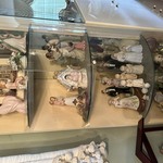 Img 7182