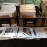 photos