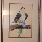 bird art
