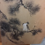 bird panel