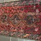 Img 9914