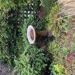 Img 6860