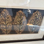 Img 0681
