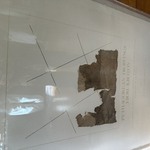 Img 0893