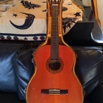 Aria guitar