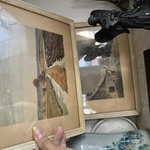 Img 4354