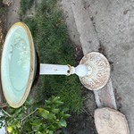 Img 4365