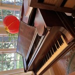 Img 7874