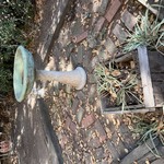 Img 7895