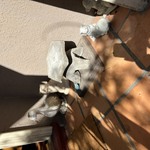 Img 7898