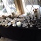 glass and stemware