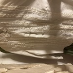 Img 6573