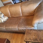 early doll & distressed sofa