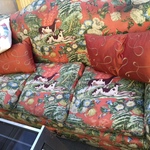groovy sofa