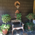 front porch topiary and bench
