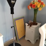 punching bag